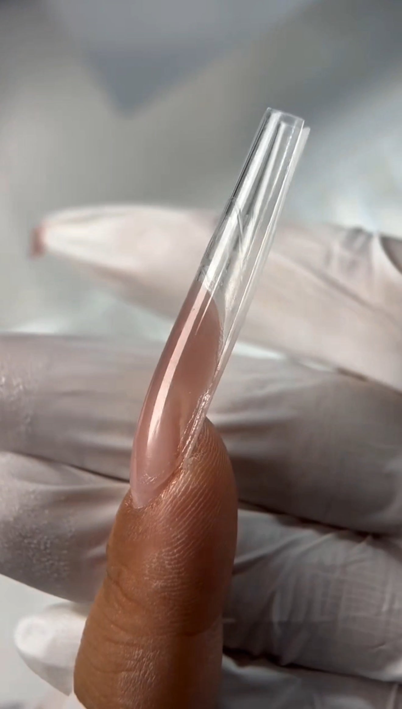 Sandwich Dual Forms Preorder !!!